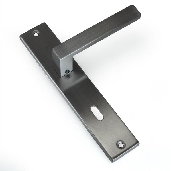 Türgriff TOPAZ INOX BB