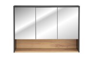 BORNEO GRAU-EICHE SOFT-CLOSE MATT  / BORNEO COSMOS 845...