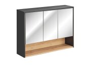 BORNEO GRAU-EICHE SOFT-CLOSE MATT  / BORNEO COSMOS 845...