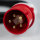 CEE Maschinen Anschlusskabel Stecker mit Phasenwender 32A 16A Kabel 10m lang